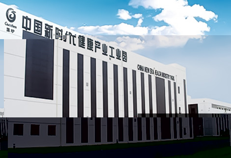 中國新時代健康産業工業園區工程